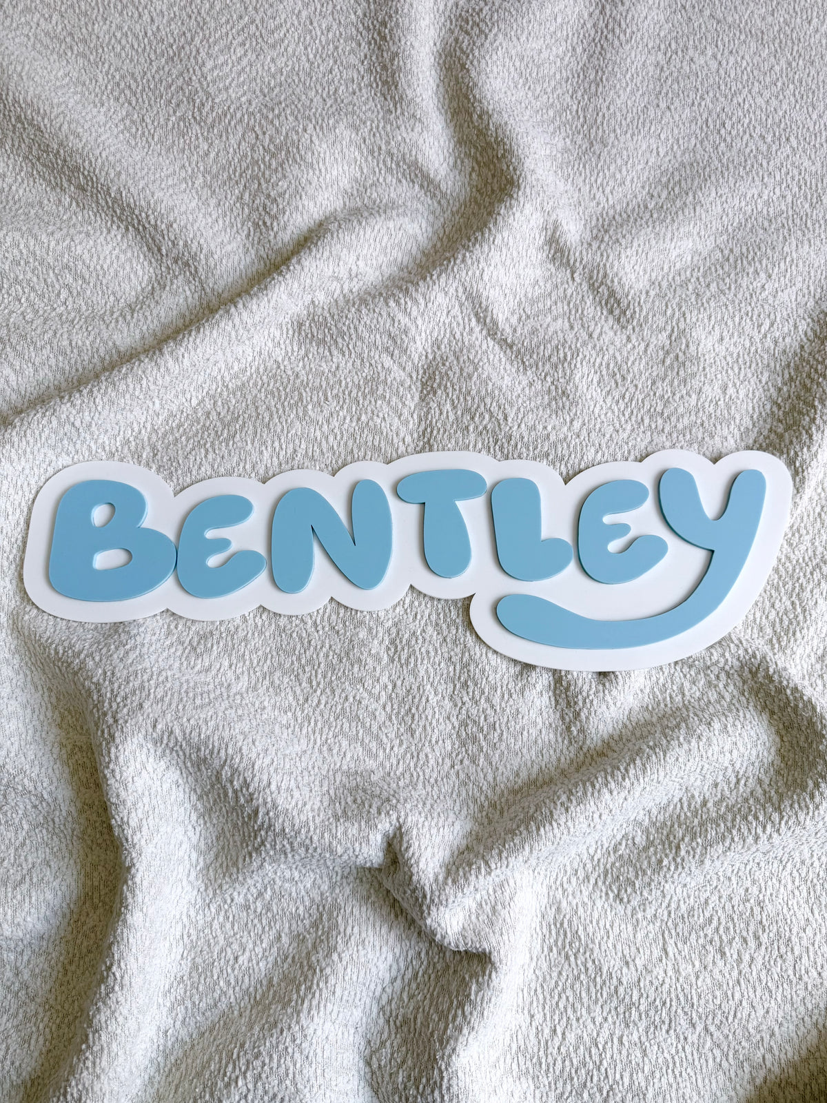 Blue Dog Theme Name Sign
